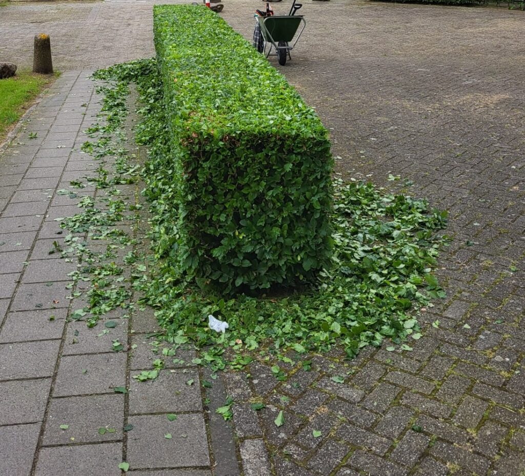 hegonderhoud