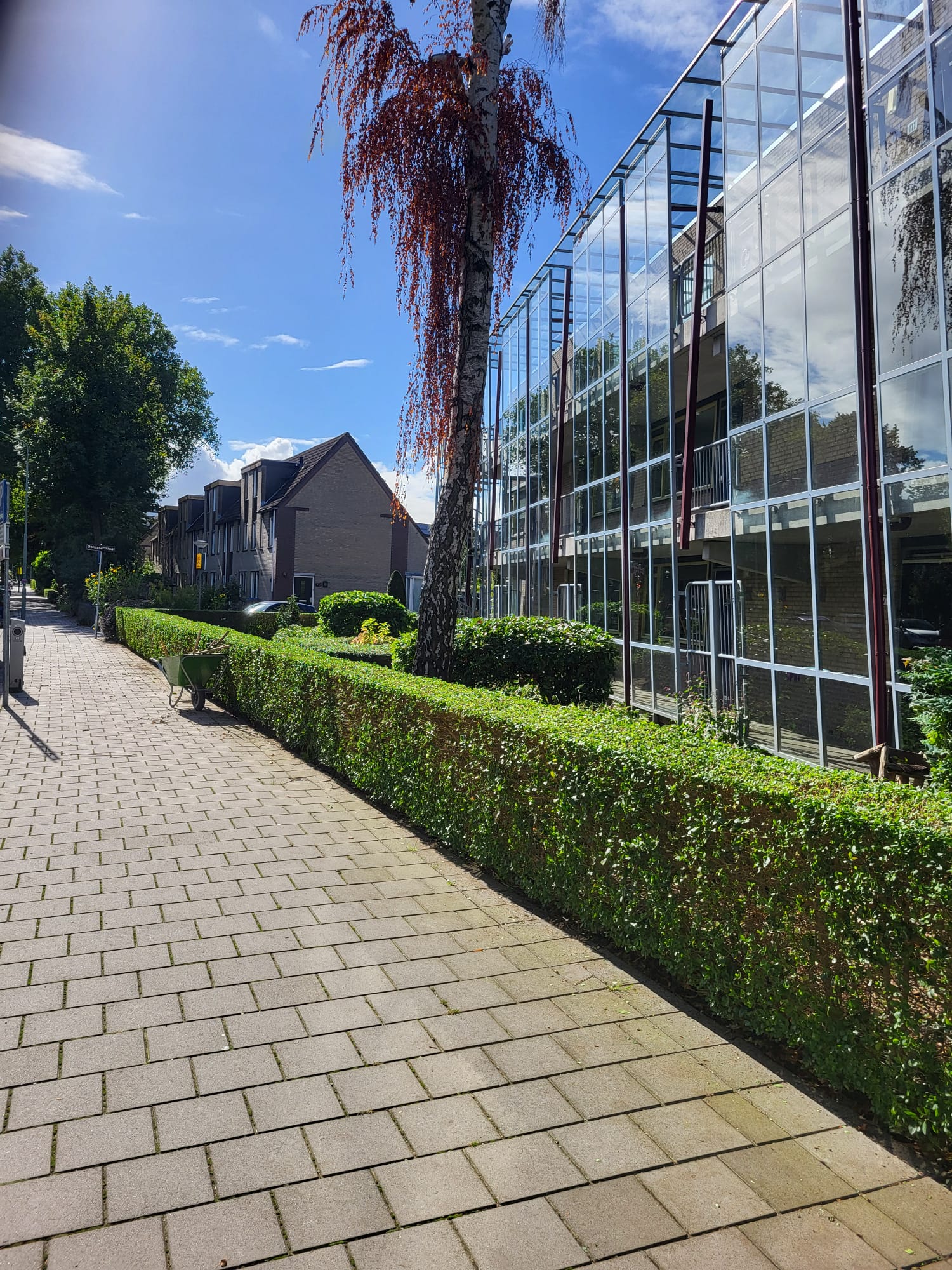 hegonderhoud