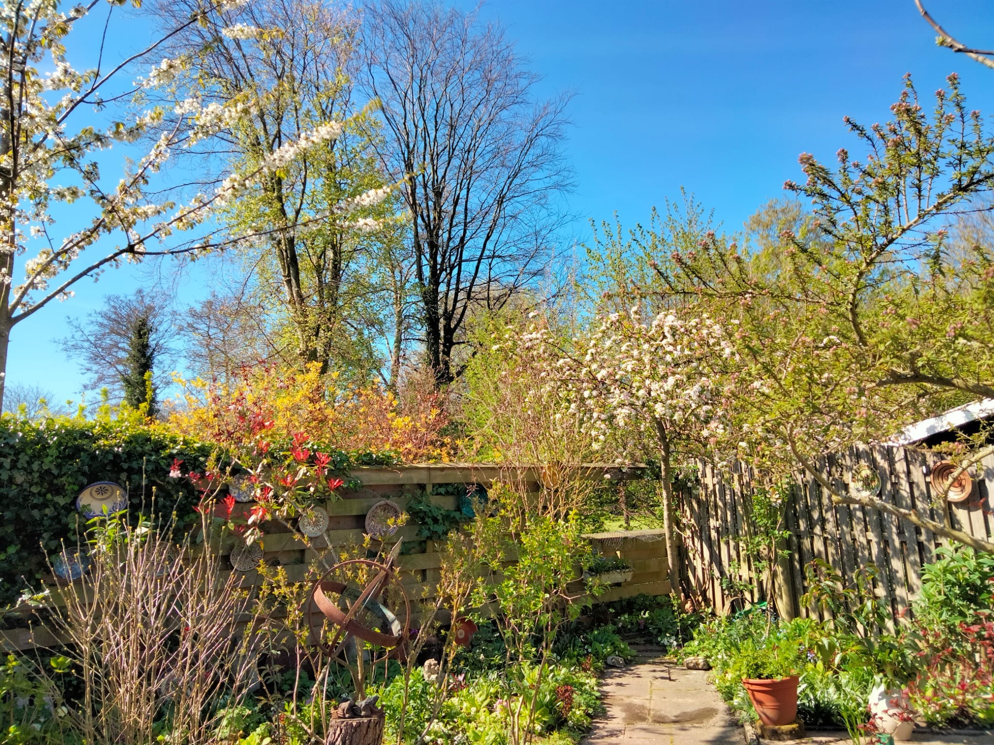 tuinonderhoud expert