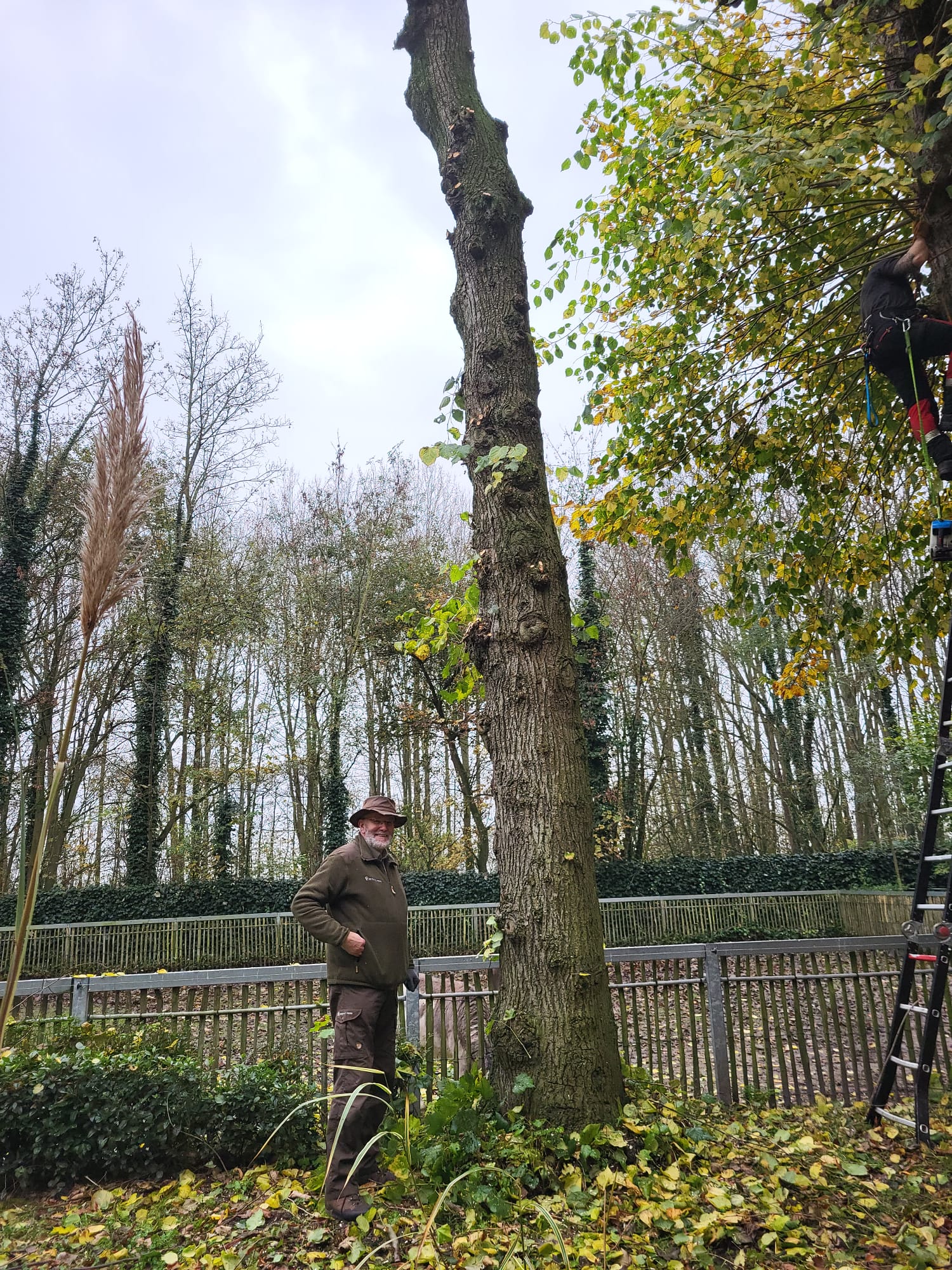 winterklaar maken tuin