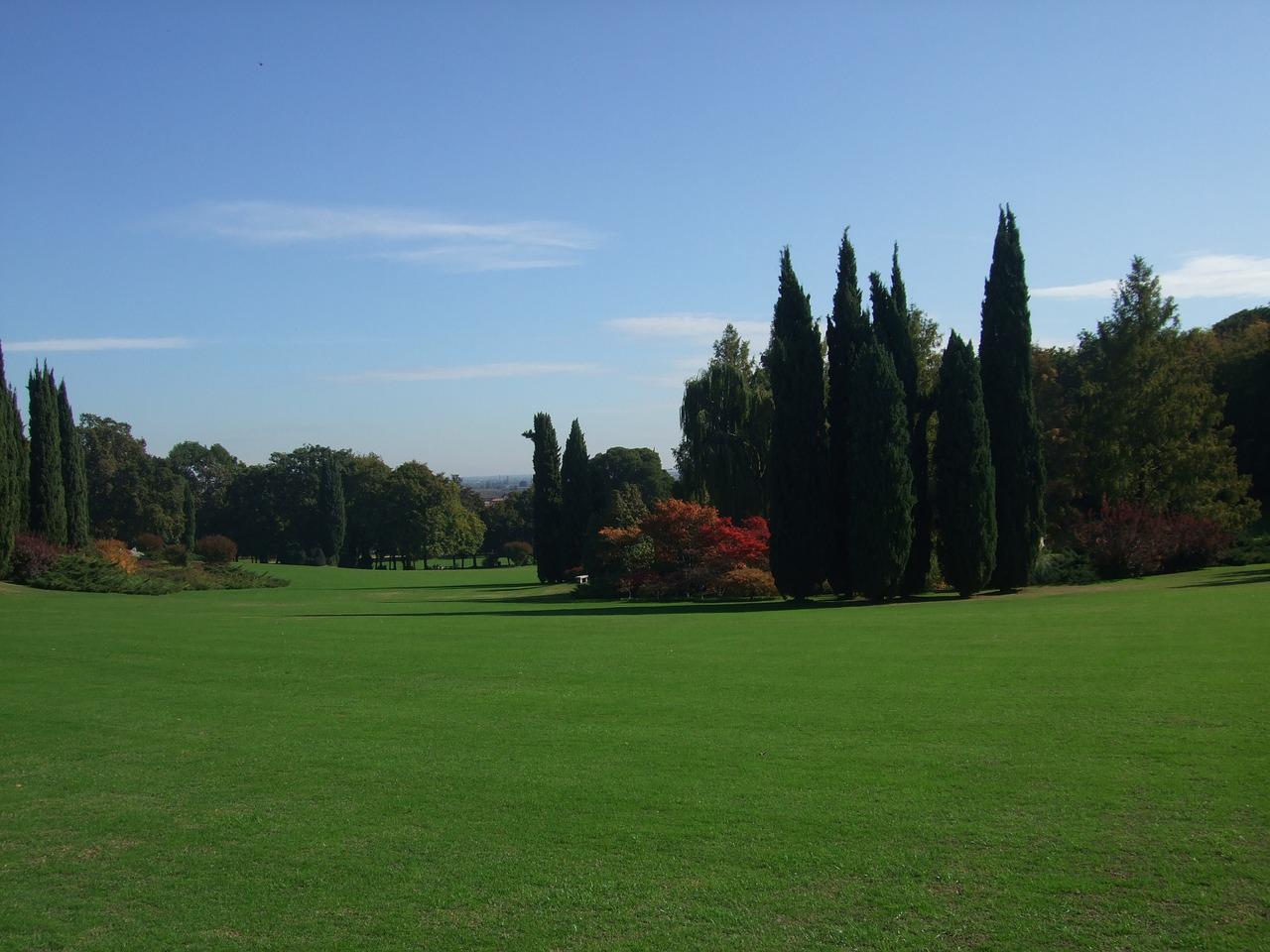 tuinonderhoud